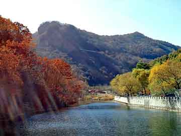 新澳门二四六天天彩，柴油加油泵